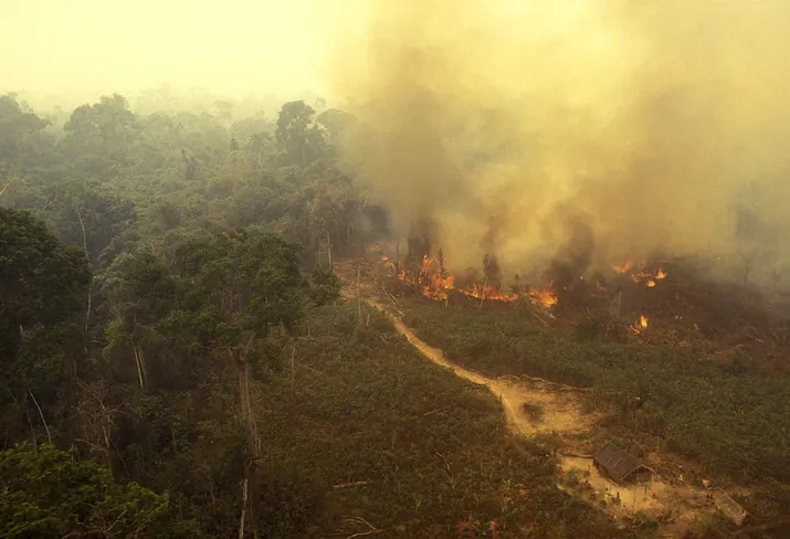 What Happens When a Wildfire Was Caused By Arson?